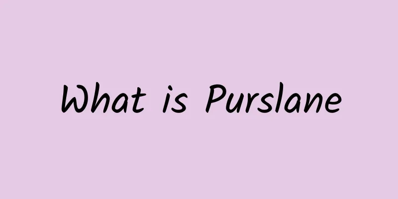 What is Purslane