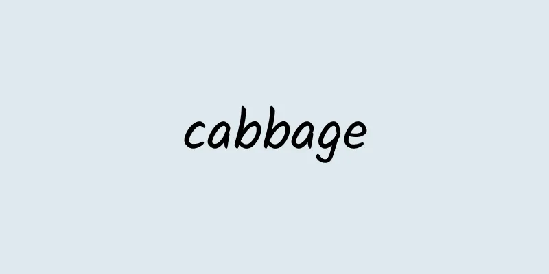 cabbage