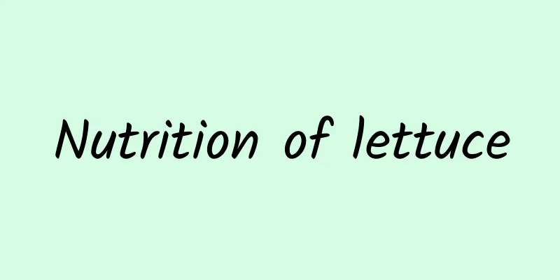 Nutrition of lettuce