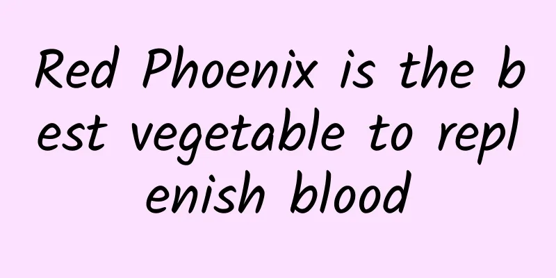 Red Phoenix is ​​the best vegetable to replenish blood