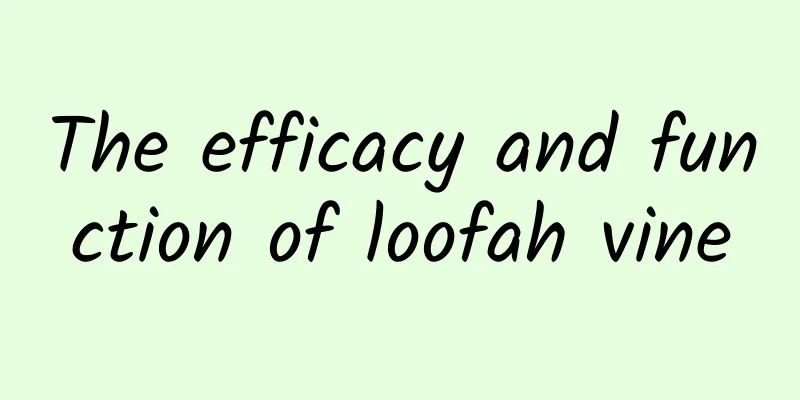 The efficacy and function of loofah vine