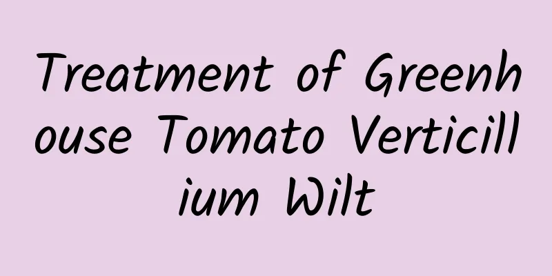 Treatment of Greenhouse Tomato Verticillium Wilt