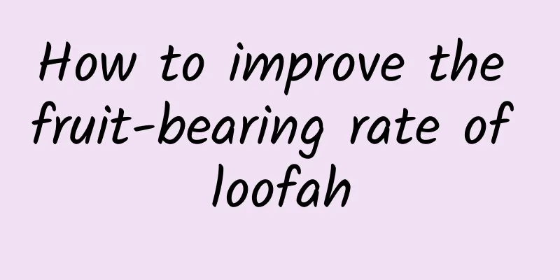 How to improve the fruit-bearing rate of loofah