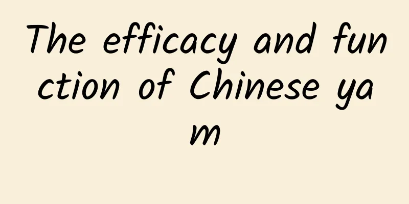 The efficacy and function of Chinese yam