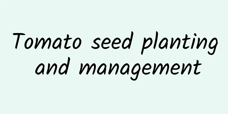 Tomato seed planting and management