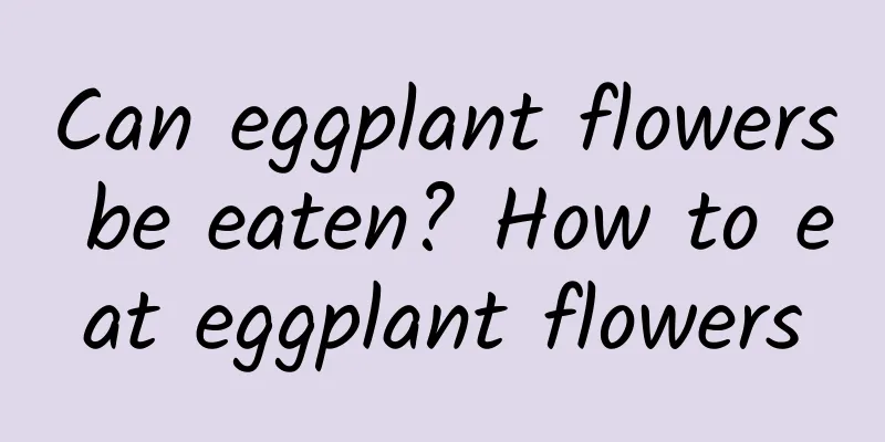 Can eggplant flowers be eaten? How to eat eggplant flowers