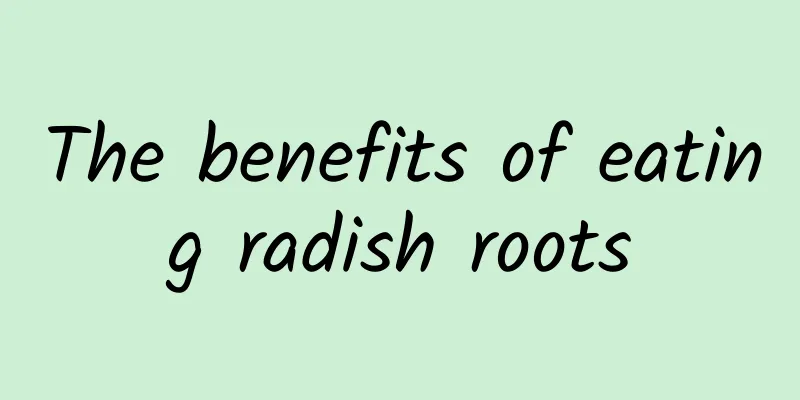 The benefits of eating radish roots