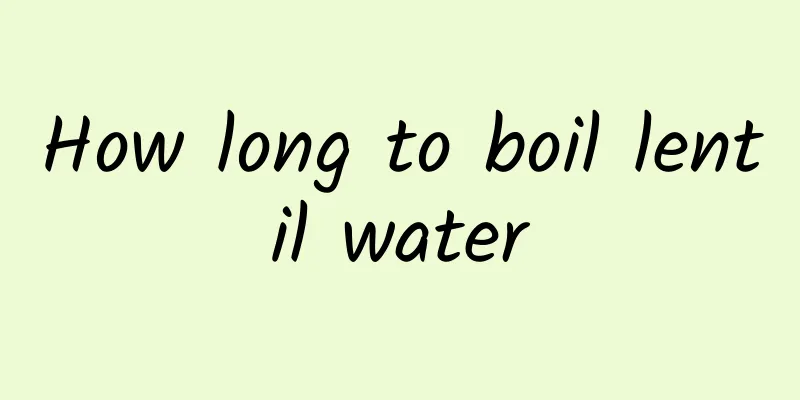 How long to boil lentil water