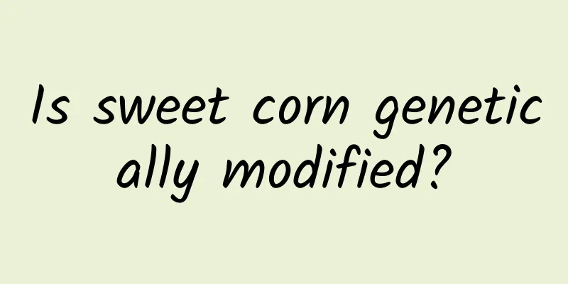 Is sweet corn genetically modified?