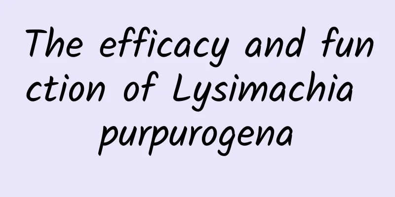 The efficacy and function of Lysimachia purpurogena