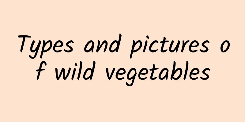 Types and pictures of wild vegetables