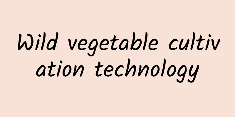 Wild vegetable cultivation technology