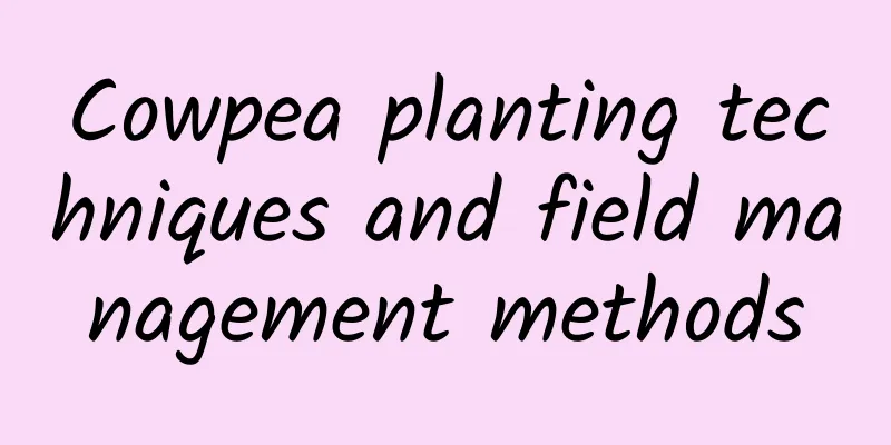 Cowpea planting techniques and field management methods