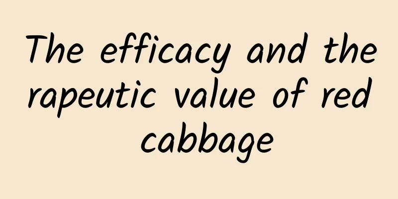 The efficacy and therapeutic value of red cabbage