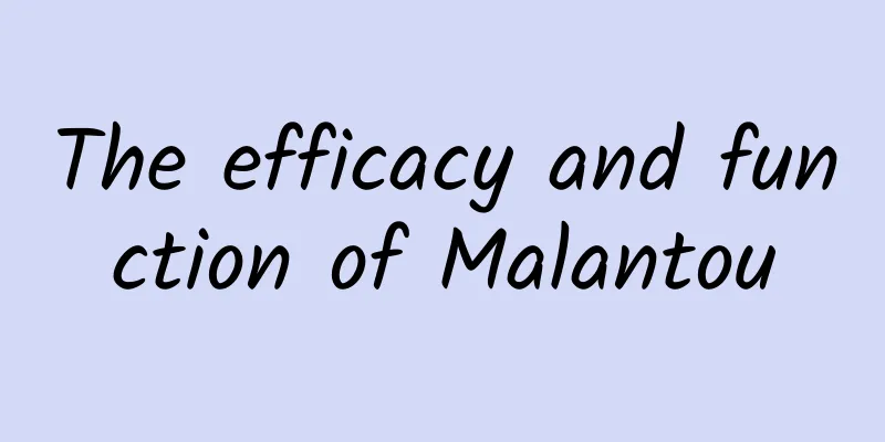 The efficacy and function of Malantou