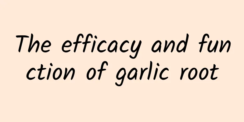 The efficacy and function of garlic root