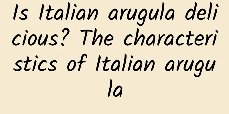 Is Italian arugula delicious? The characteristics of Italian arugula