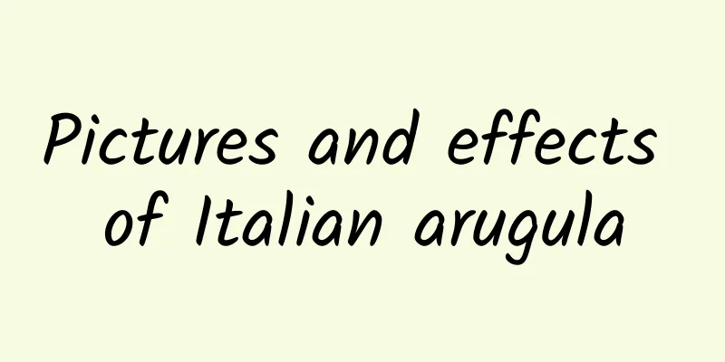 Pictures and effects of Italian arugula