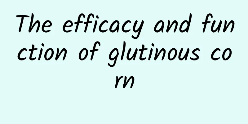 The efficacy and function of glutinous corn