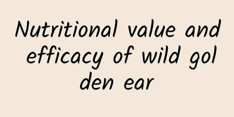 Nutritional value and efficacy of wild golden ear