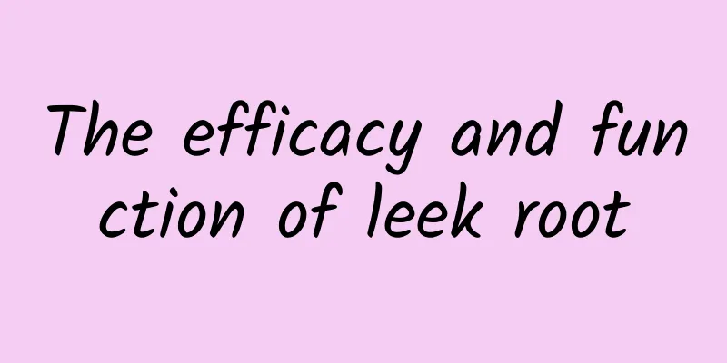 The efficacy and function of leek root