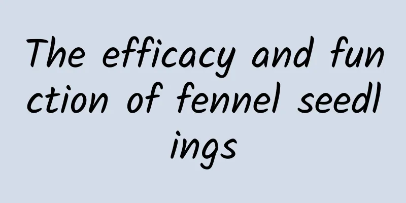 The efficacy and function of fennel seedlings