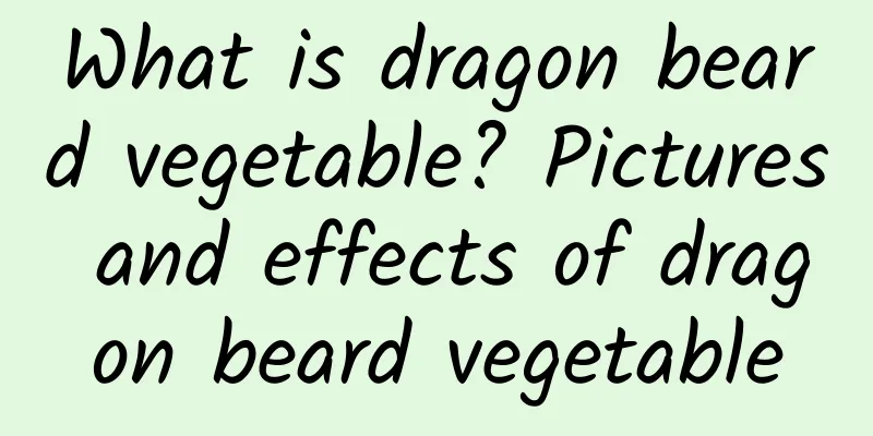 What is dragon beard vegetable? Pictures and effects of dragon beard vegetable