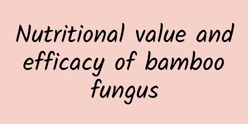 Nutritional value and efficacy of bamboo fungus