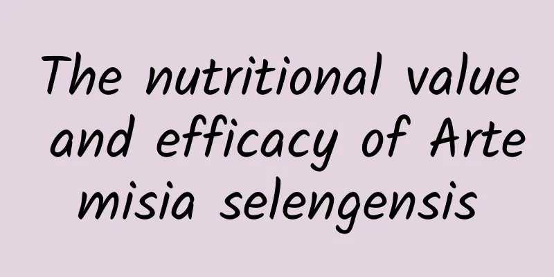 The nutritional value and efficacy of Artemisia selengensis