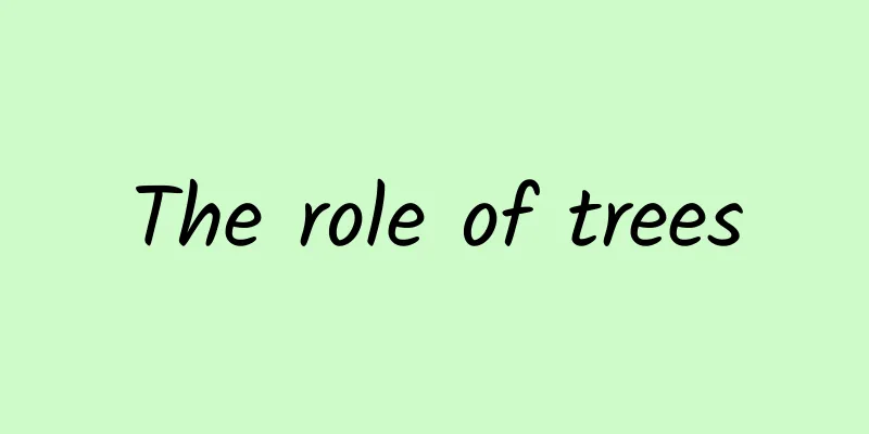 The role of trees