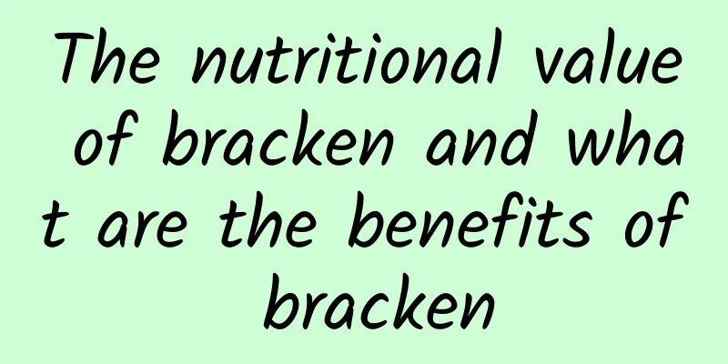 The nutritional value of bracken and what are the benefits of bracken