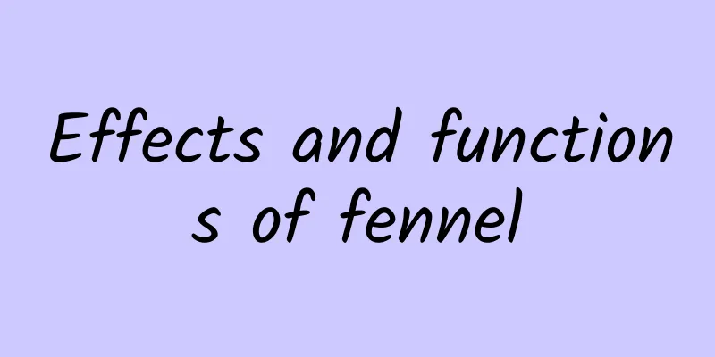 Effects and functions of fennel