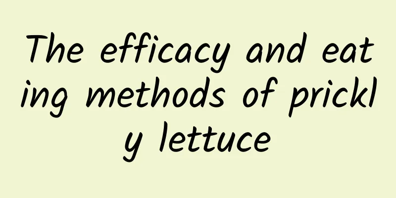 The efficacy and eating methods of prickly lettuce