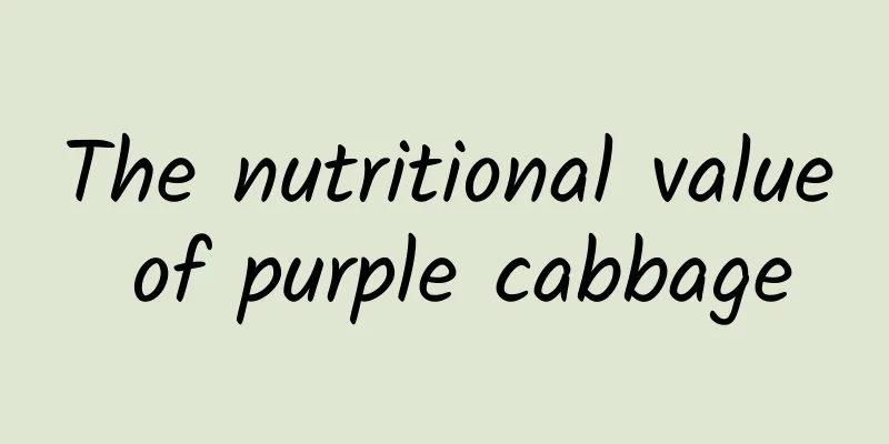 The nutritional value of purple cabbage