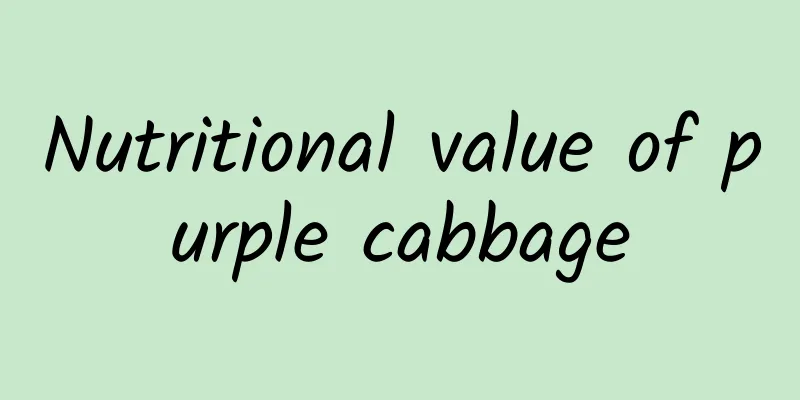 Nutritional value of purple cabbage