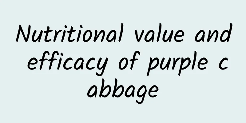 Nutritional value and efficacy of purple cabbage