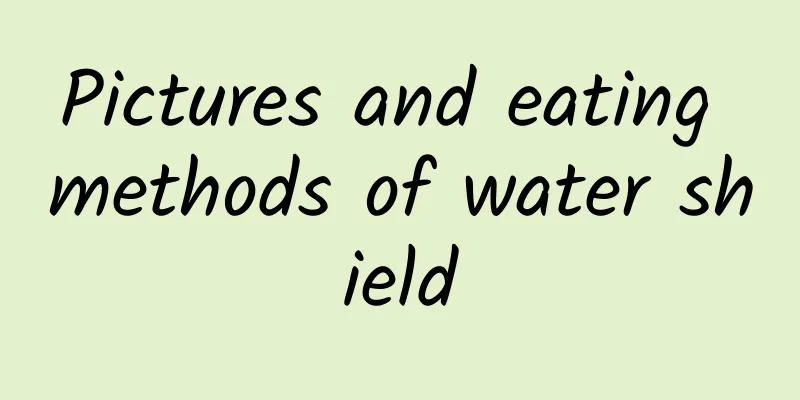 Pictures and eating methods of water shield