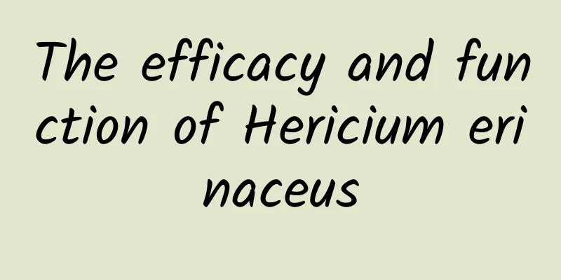 The efficacy and function of Hericium erinaceus