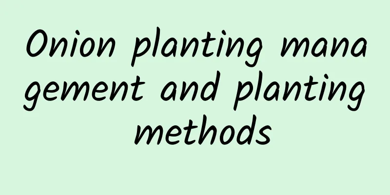 Onion planting management and planting methods