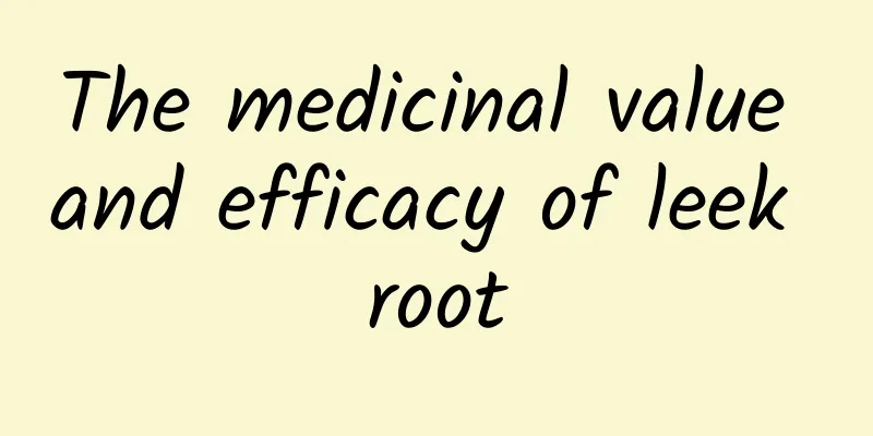 The medicinal value and efficacy of leek root