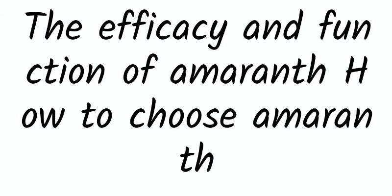 The efficacy and function of amaranth How to choose amaranth