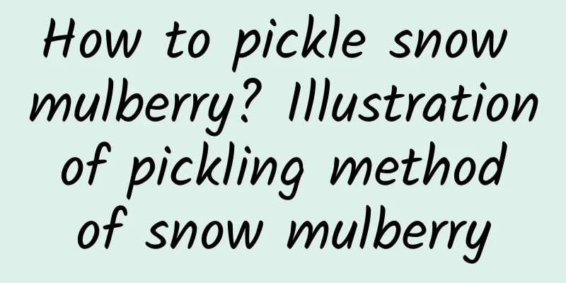 How to pickle snow mulberry? Illustration of pickling method of snow mulberry