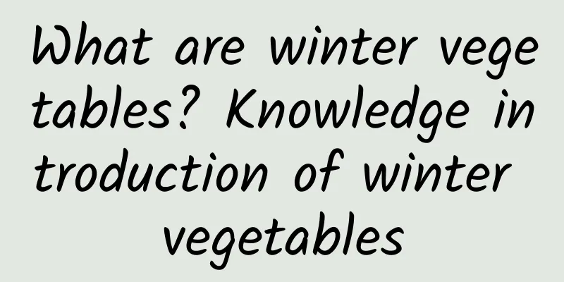 What are winter vegetables? Knowledge introduction of winter vegetables