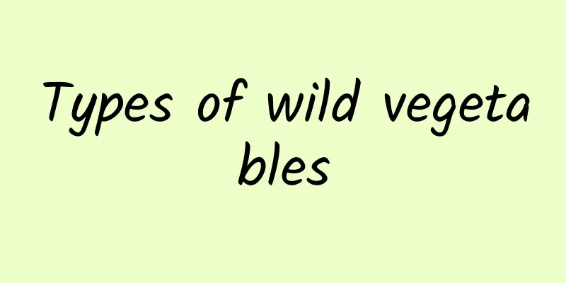 Types of wild vegetables