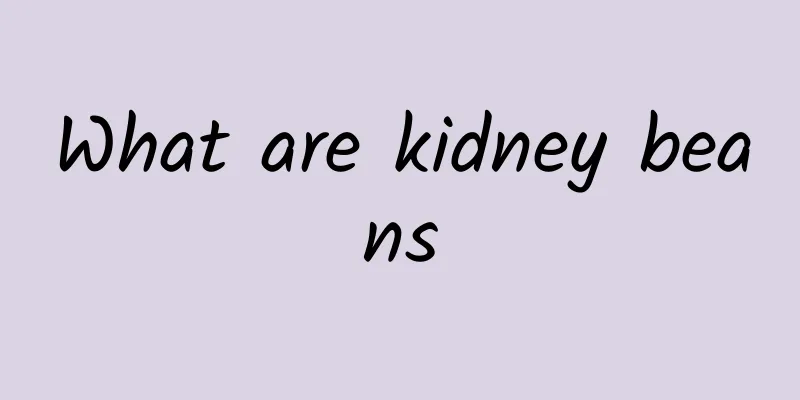 What are kidney beans