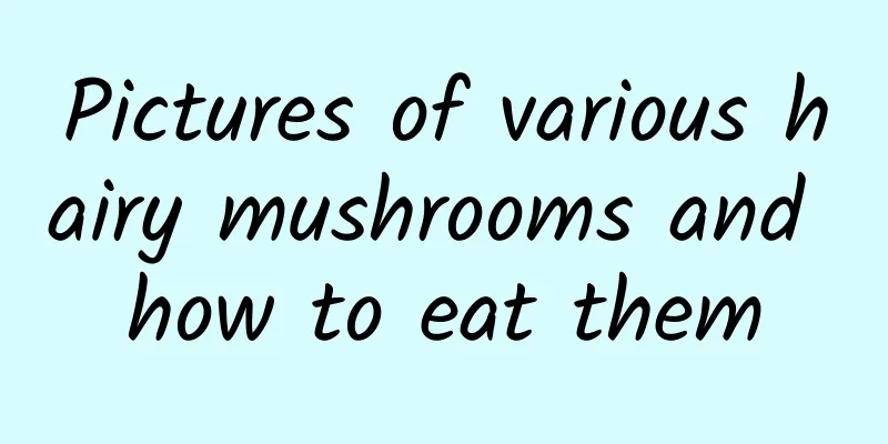 Pictures of various hairy mushrooms and how to eat them