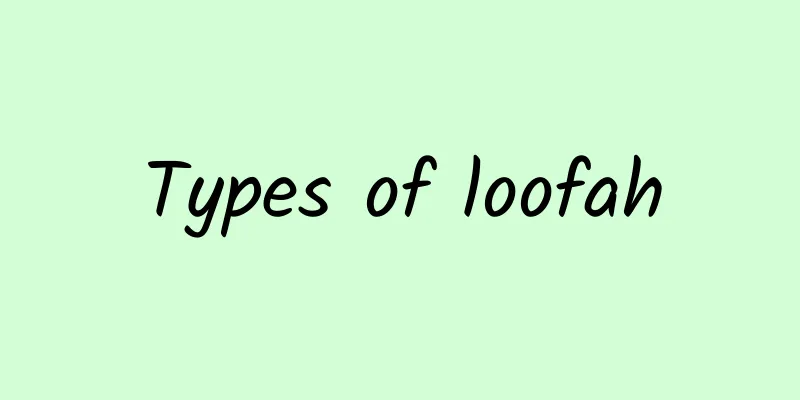 Types of loofah