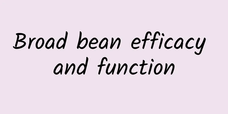 Broad bean efficacy and function