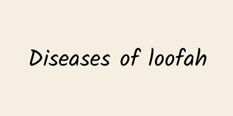 Diseases of loofah