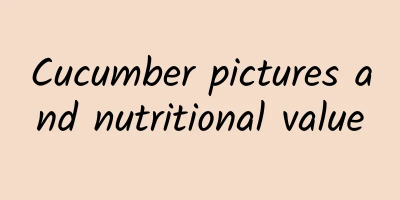 Cucumber pictures and nutritional value